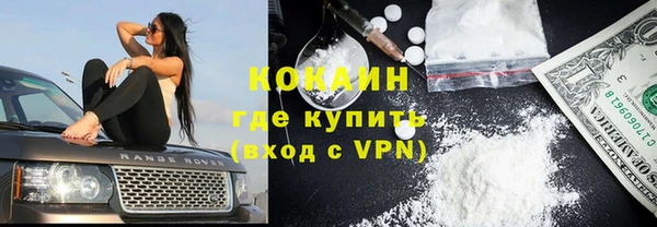 ПСИЛОЦИБИНОВЫЕ ГРИБЫ Аркадак